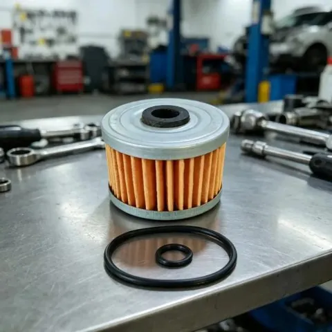 Filtro de Aceite 250