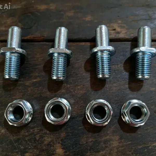 Tornillo Porta coronas bujes de rayos